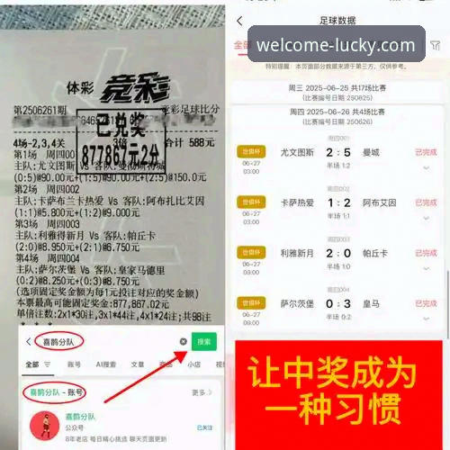 从火箭大胜尼克斯看体育竞技的创新玩法：大发彩票平台观赛体验完整指南